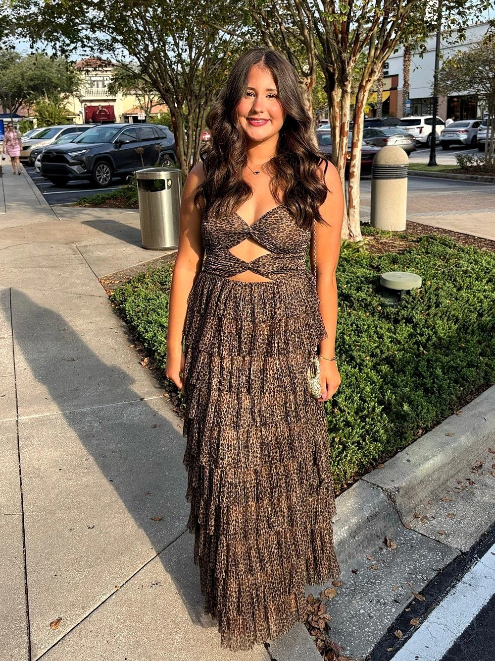Gianni Bini, Grace Metallic Leopard, Sweetheart Neck, A-Line Midi Dress